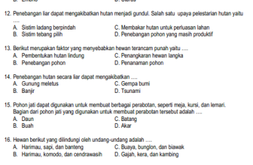 20 Latihan Soal BAB 5 IPAS Kelas 6 SD Semester 2 Kurikukulum Merdeka