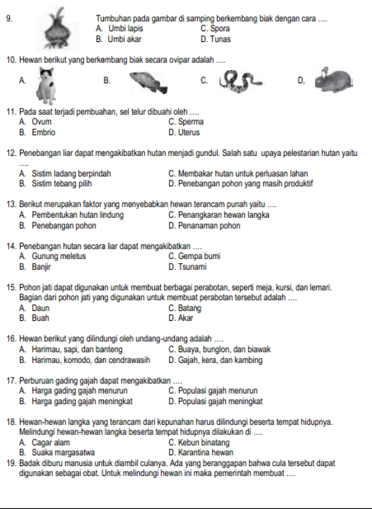 14 Soal IPA Kelas 6 Semester 2 Beserta Kunci Jawaban: Ternyata Ini Rahasianya