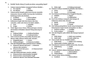 Contoh Soal Uas Sejarah Indonesia Kelas 11 Semester 1 Dalchaebi