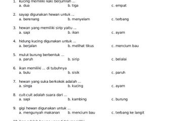 Contoh Soal Ipa Kelas 5 - Piffle me