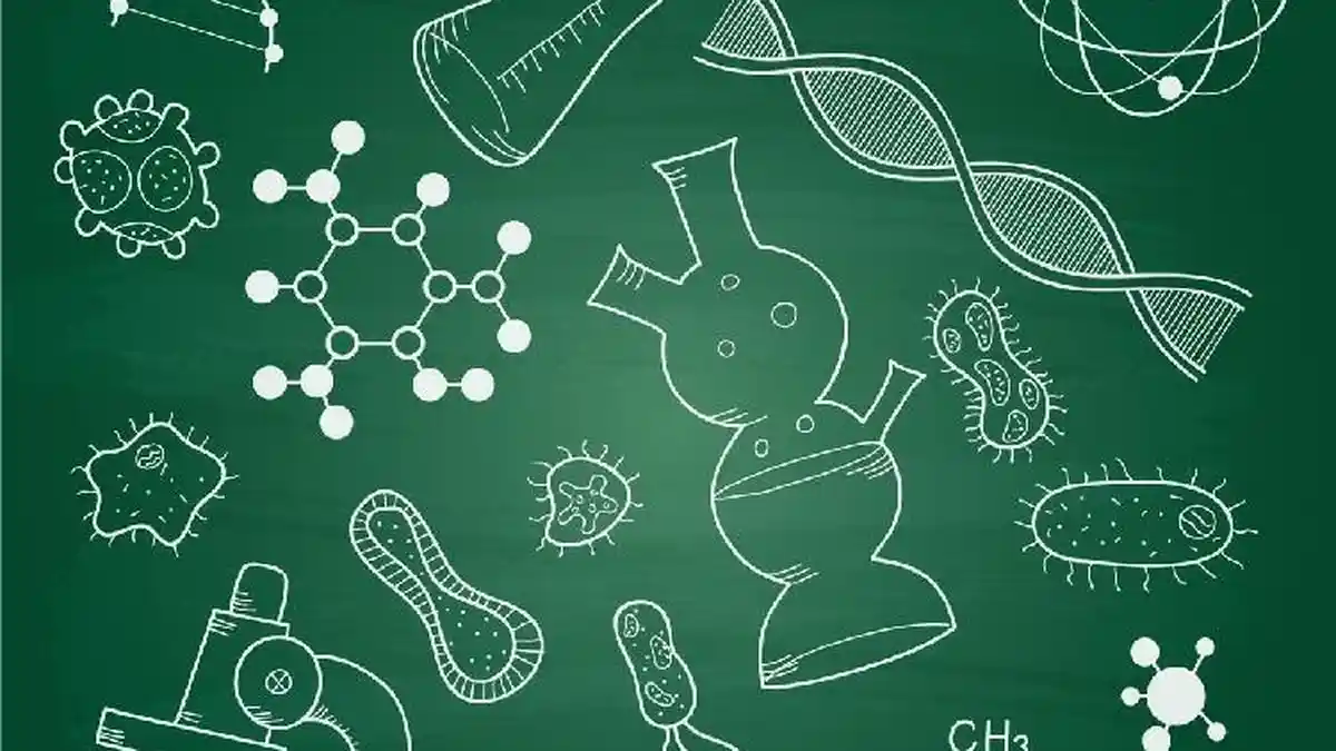 Soal Biologi Soal IPA SMP Kelas 9 Kunci Jawaban Soal Sumatif STS