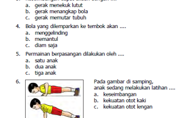 Soal Pjok Kelas 4 Semester 2 2021 Dalchaebi